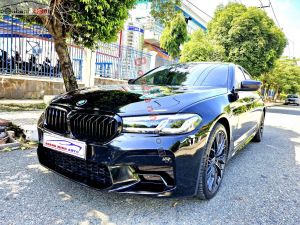 Xe BMW 5 Series 520i 2018