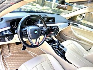 Xe BMW 5 Series 520i 2018